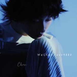 成人免费❌X❌角鲁
