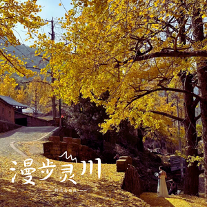 成人免费❌X❌角鲁
