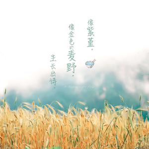 成人免费❌X❌角鲁
